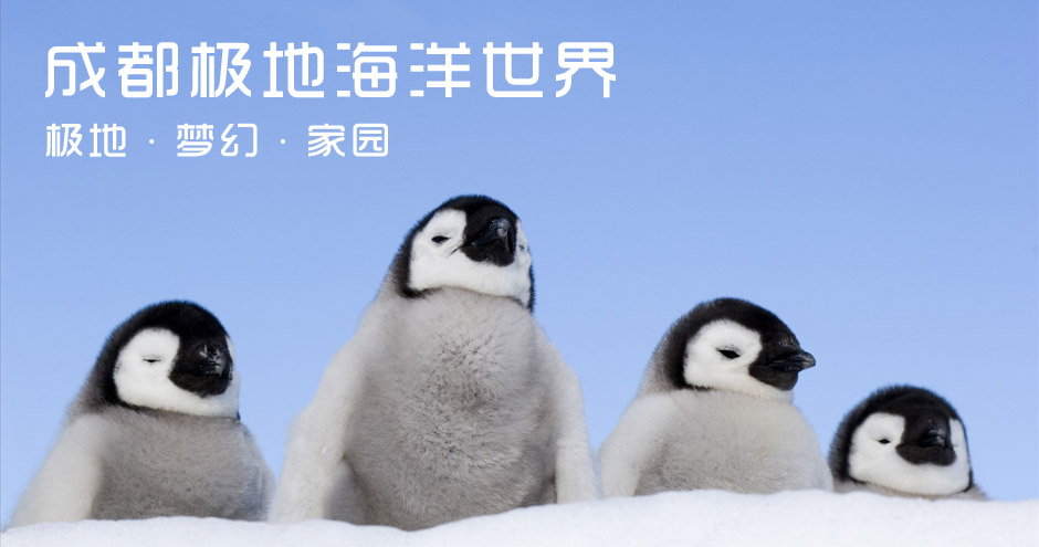 项目简介: 紫海香堤香草艺术庄园位于北京密云县古北口镇境内,距北京120公里,与中国长城之最司马台长城毗邻。无垠的香草田、安静的汤河水、茂密的金山林构成了一副绝美独有的风景图画。零落于香草海边的海岸篷房,坐落于坡地上绿树丛中的坡地棚屋,依山傍水林荫掩映的香堤会所,设施齐全的中西餐厅,经典亲水与香草休闲体验项目。游客可以陪伴心爱的人,在柔风中穿过香草花田,让浓浓淡淡的馨香拍打着肌肤,享受一个美妙的爱之旅! 项目总体规划效果图 景观设计:洞洞墙 LOVE雕塑 爱情迷宫 景观设计