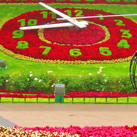 花卉创意景观 | 世界八大著名的“花钟”景观
