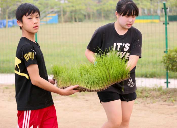 休闲农业与乡村旅游重要地位与作用之农耕体验